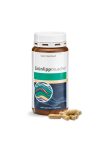 SANCT BERNHARD ZÖLDKAGYLÓ KIVONATOS KAPSZULA  500 mg 150DB
