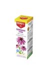 DR.HERZ ECHINACEA+C-VITAMIN CSEPP 50ML