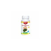 DR.HERZ GINKGO BILOBA FORTE 120MG+MAGNÉZIUM KAPSZULA 60DB