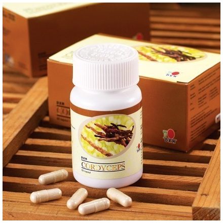 DXN CORDYCEPS kapszula