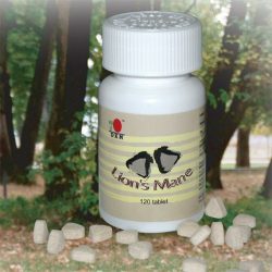 DXN LION'S MANE - oroszlánysörény- tabletta, 120db