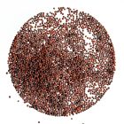 Legeldle Brokkoli Csíramag 150g