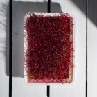Legeldle Amaránt Red Garnet Mikrozöld Mag-30g