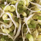 Legeldle Mungóbab Csíramag-200g