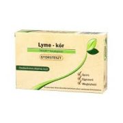 LYME-KÓR GYORSTESZT 1DB