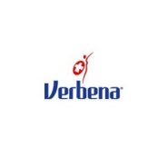 Verbena 