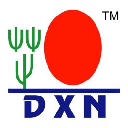 DXN termékek