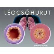 Hurut, hurutos köhögés, légcsőhurut