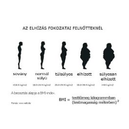 Fogyókúra, elhízás, túlsúly