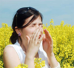 Megfelelő tápanyagokkal az allergia ellen