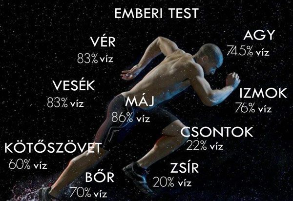 Emberi test víztartalma